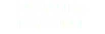 PASSASJER- KAPASITET