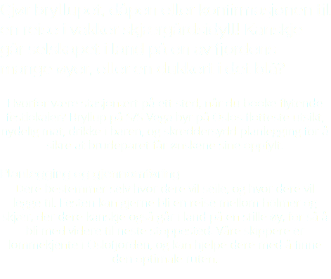 Gjør bryllupet, dåpen eller konfirmasjonen til en reise i vakker skjærgårdsidyll! Kanskje går selskapet i land på en av fjordens mange øyer, eller en dukkert i det blå? Hvorfor være stasjonært på ett sted, når du booke flytende festlokaler? Bryllup på S/S Vega byr på Oslos flotteste utsikt, nydelig mat, drikke i baren, og skreddersydd planlegging for å sikre at brudeparet får ønskene sine oppfylt. Planlegging og gjennomføring Dere bestemmer selv hvor dere vil seile, og hvor dere vil legge til. Festen kan gjerne bli en reise mellom holmer og skjær, der dere kanskje også går i land på en stille øy, for så å bli med videre til neste stoppested. Våre skippere er lommekjente i Oslofjorden, og kan hjelpe dere med å finne den optimale ruten. 